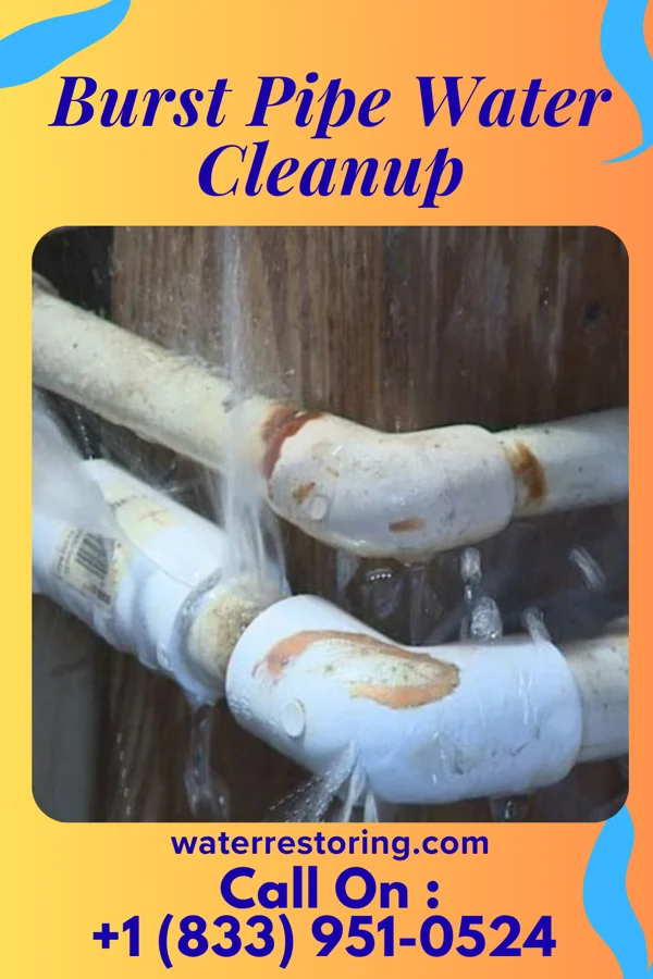 Burst Pipe Water Cleanup in Bay Park, NY