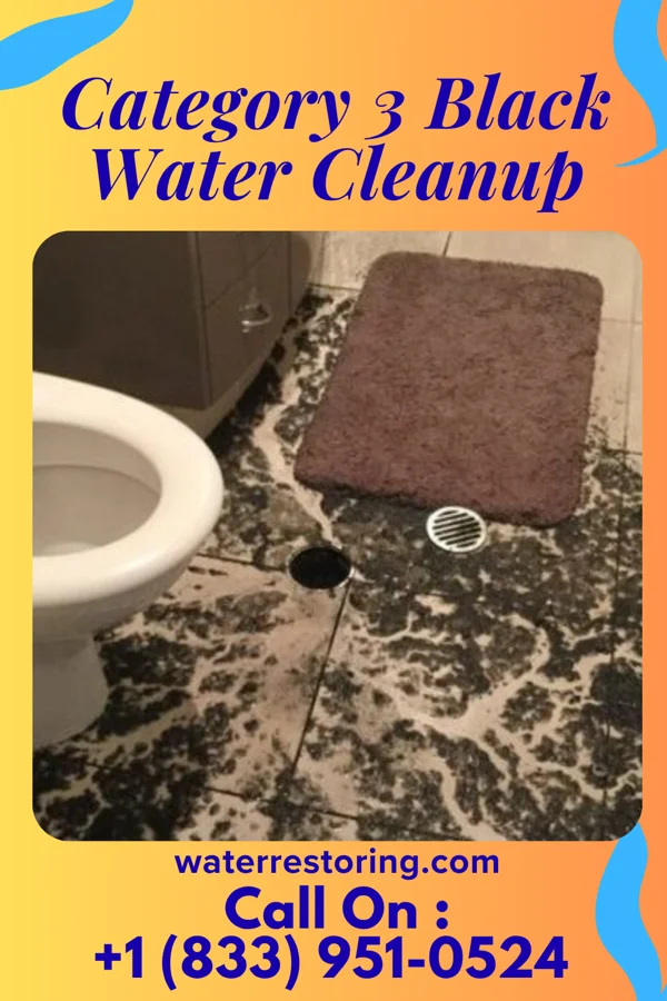 Category 3 Black Water Cleanup in Bay Park, NY