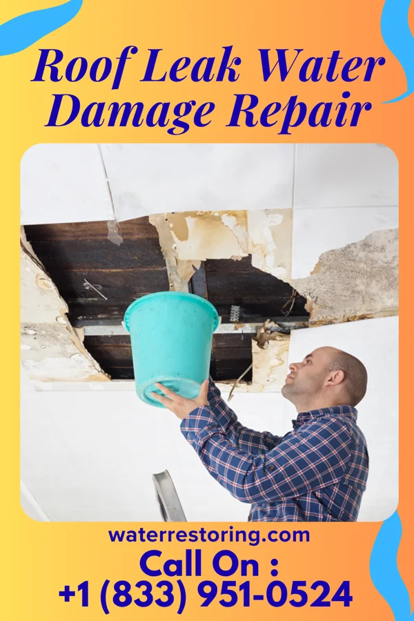 Roof Leak Water Damage Repair in Bay Park, NY