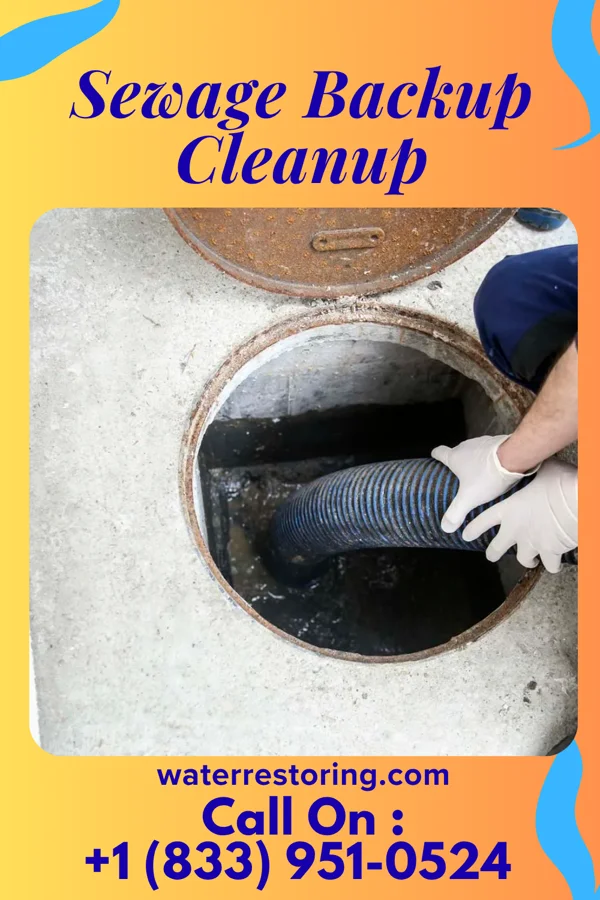 Sewage Backup Cleanup in Bay Park, NY