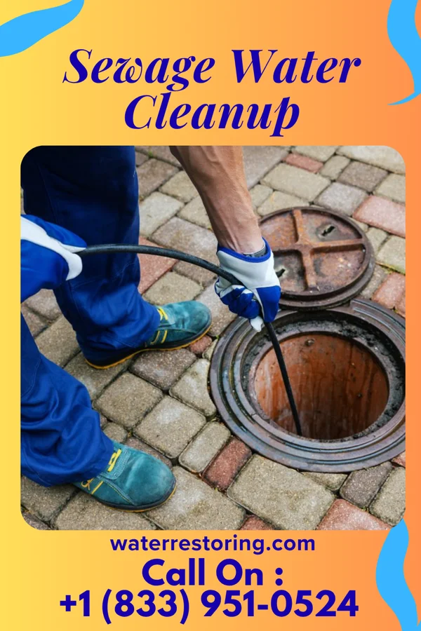 Sewage Water Cleanup in Bay Park, NY