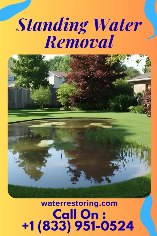 Standing Water Removal in Bay Park, NY